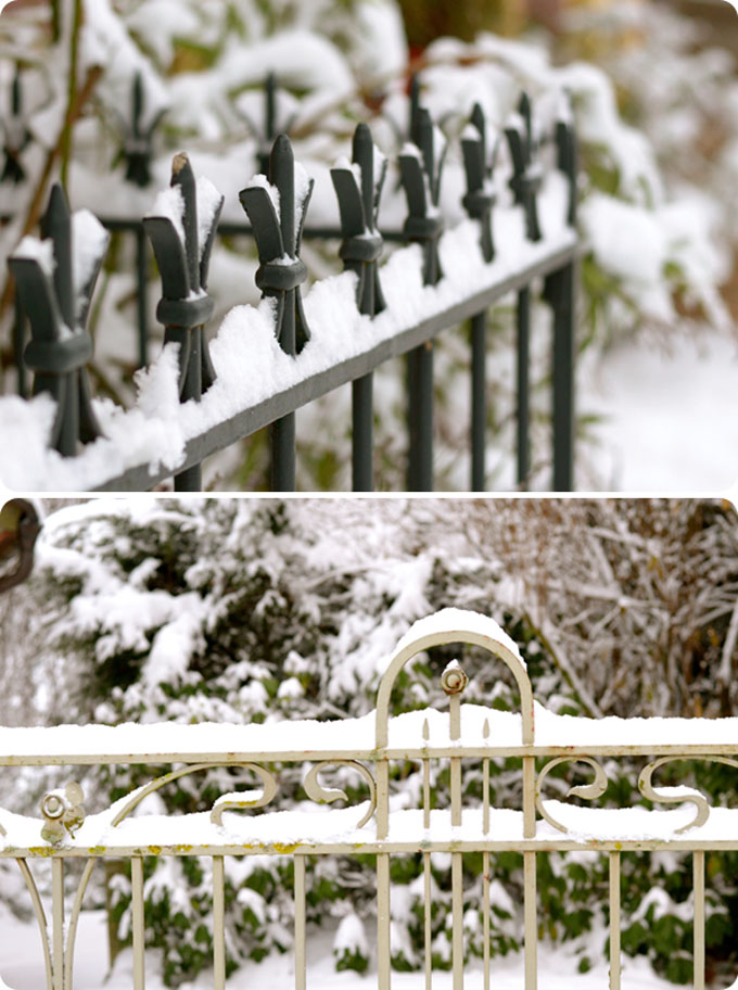 Maryandpatch, snow