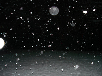 The Way Home - cover image