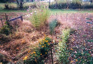The Garden, October 1998. Overgrown but blooming.