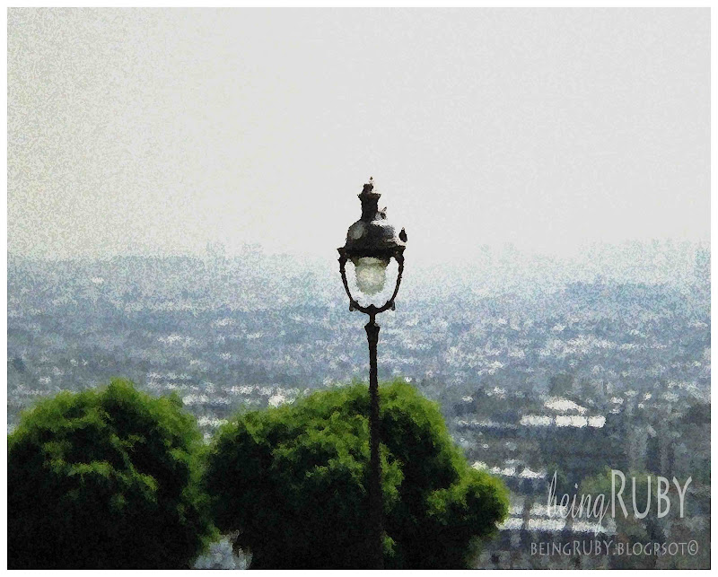 BeingRuby - Paris Rooftops-5
