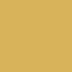 Pantone color, Honney Yellow