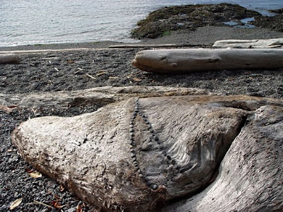 rock and driftwood art by Robin Atkins