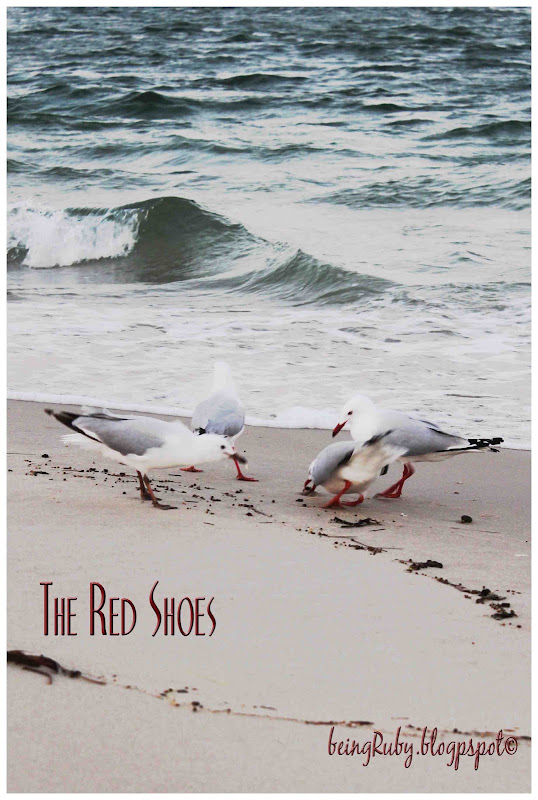 BeingRuby - BeingRuby-TheRedShoes-Seagulls