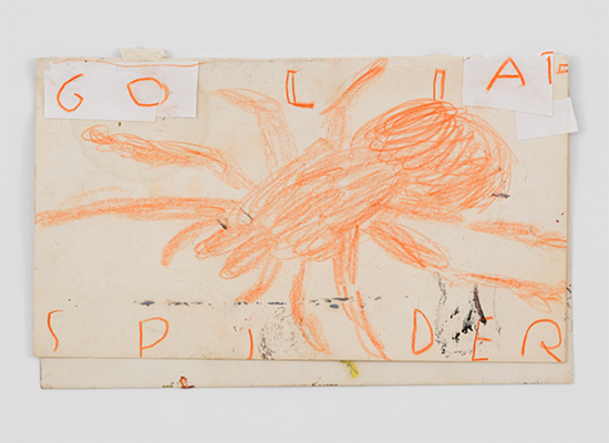 Rose Wylie Orange Spider, 2019 Ballpoint pen, pencil, coloured pencil and collage paper 21.3 x 13.5 cm drawing Rose Wylie Orange Spider, 2019 Ballpoint pen, pencil, coloured pencil and collage paper 21.3 x 13.5 cm