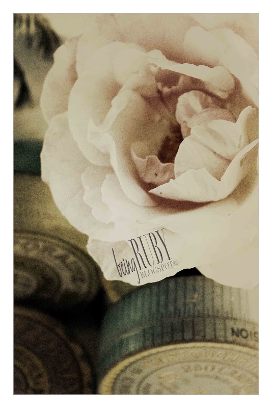 BeingRuby - FrenchDolly-5