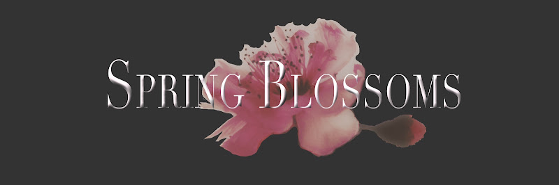 BeingRuby - Spring text-2