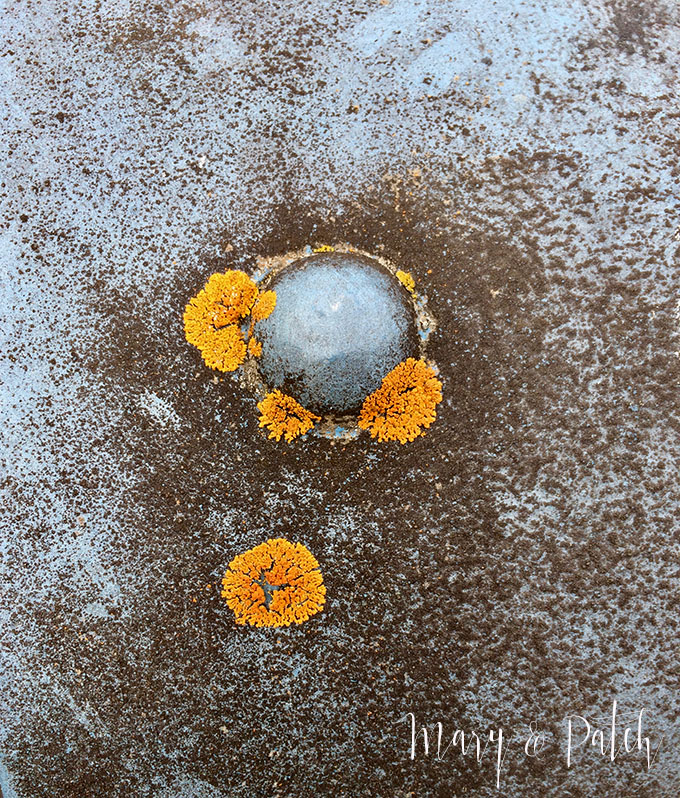 How to find color inspiration and how to use it!