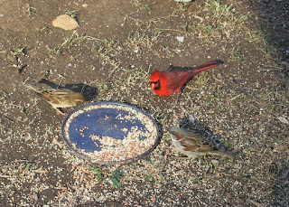 birdie breakfast, Today, March 21, 2016, 8:16:32 AM