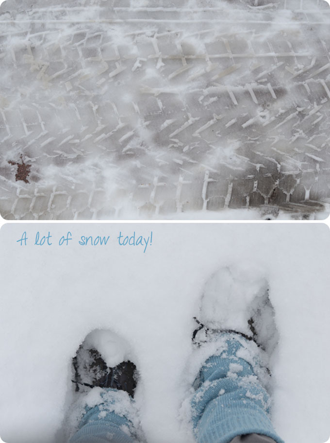 Maryandpatch, snow