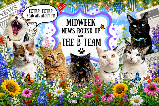 July Midweek News Banner at BBHQ ©BionicBasil® Seven cats sit together in a colourful garden filled with flowers, butterflies, and festive bunting. Behind them are scattered newspapers and a large banner that reads “Midweek News Round Up with the B Team.” One cat on the left has its mouth open as if shouting, next to a speech bubble that says “EXTRA! EXTRA! READ ALL ABOUT IT!” The scene is bright, playful, and lively, with each cat displaying different fur colours and patterns. The overall design feels cheerful and whimsical, like a fun feline news announcement.
