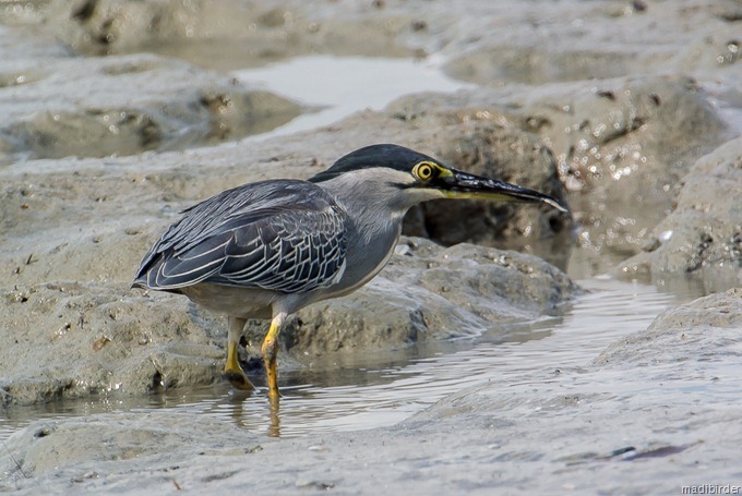 DSC_4745 DSC_4745
