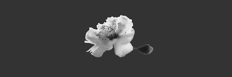 BeingRuby - b&w flower