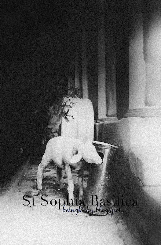 BeingRuby - St Sophia Basilica Lamb- 201005 - 9