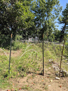 The Drew Theo Community Garden