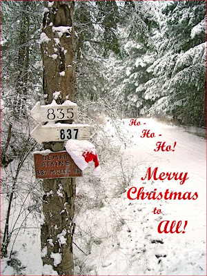 snow scene and Santa hat with Christmas greeting