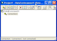 Data Environment