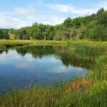 Whitetail Refuge Stream Restoration