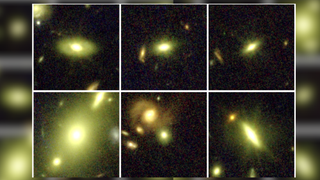 The nine studied galaxies captured by the James Webb Space Telescope. Their spectrum reveals that there are many more relatively small stars in these galaxies.