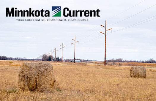 Minnkota Current logo