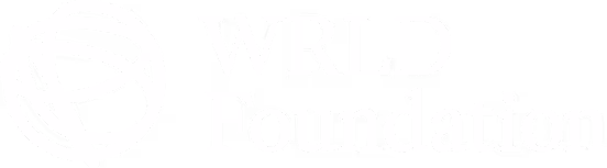 WRLD Foundation logo with stylized globe icon to the left of the text.