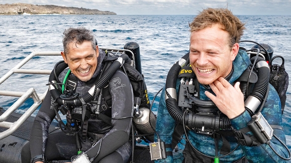 Hammerhead Sharks Up Close with Bertie Gregory