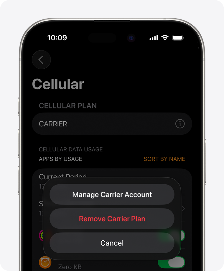 iPhone showing Cellular screen in Watch app