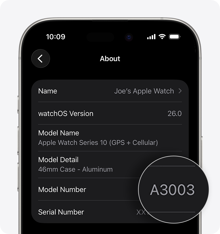 iPhone screen showing general settings for Apple Watch