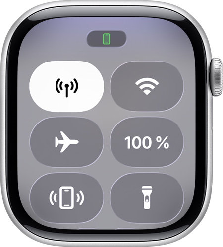 Kontrollzentrum auf der Apple Watch.
