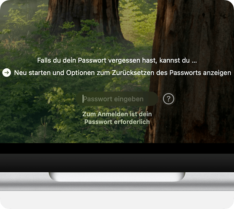 Optionen zum Zurücksetzen des Passworts neben dem Passwort-Feld im Anmeldefenster.