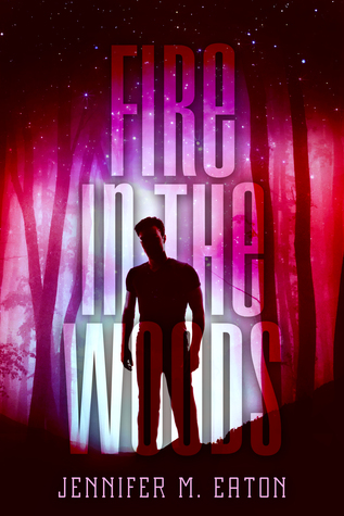 https://www.goodreads.com/book/show/22674815-fire-in-the-woods?ac=1&from_search=true