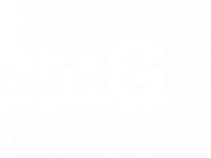 Dave Graphics