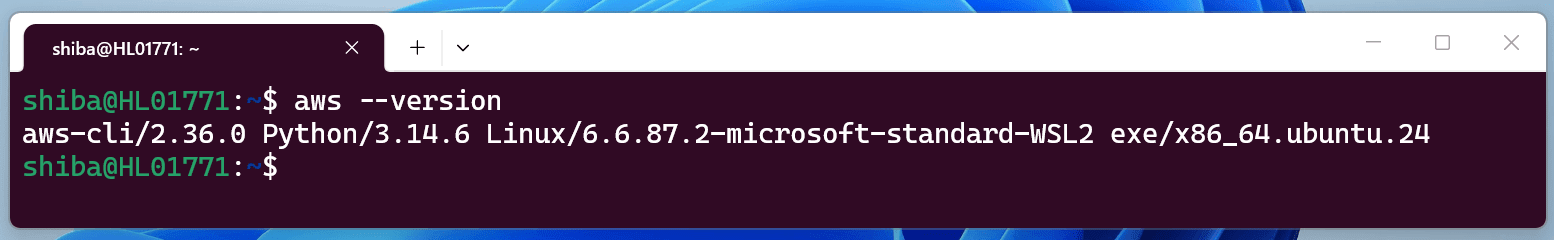aws-cli-aws-update-command-07