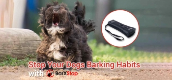 BarXStop Review 2026: The Nicest Way to Shut Dogs Up?
