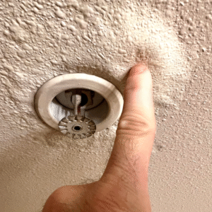 Toilet leak