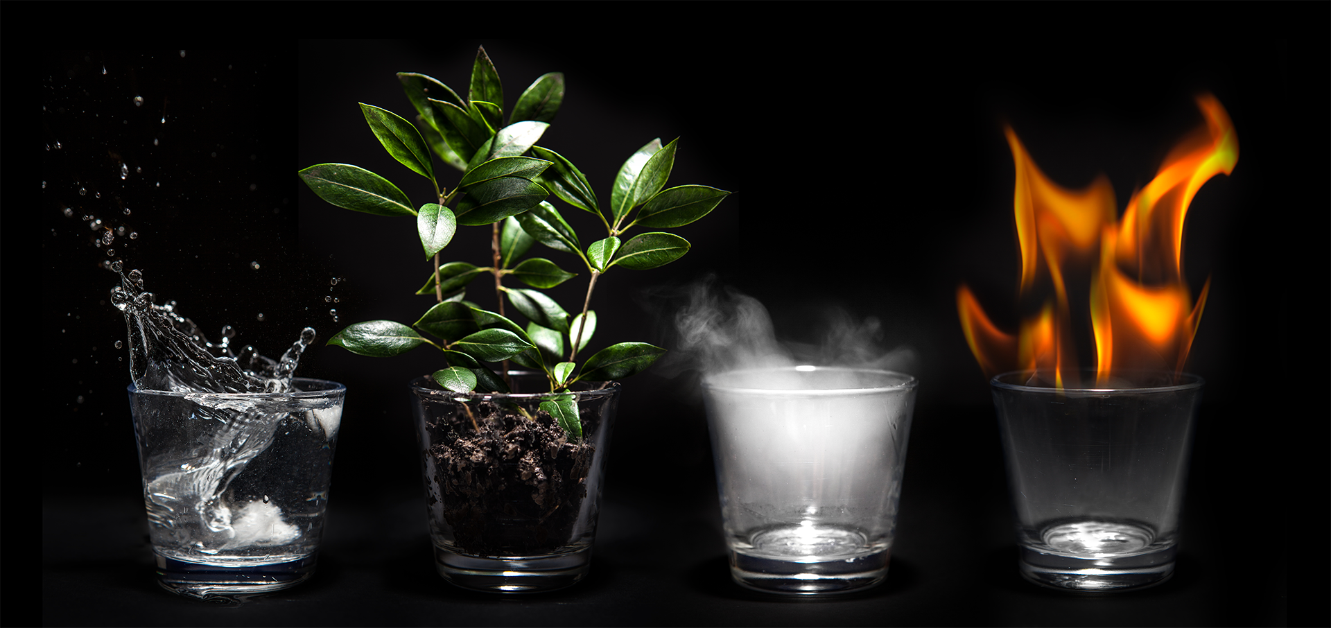 The Four Elements The Four Elements