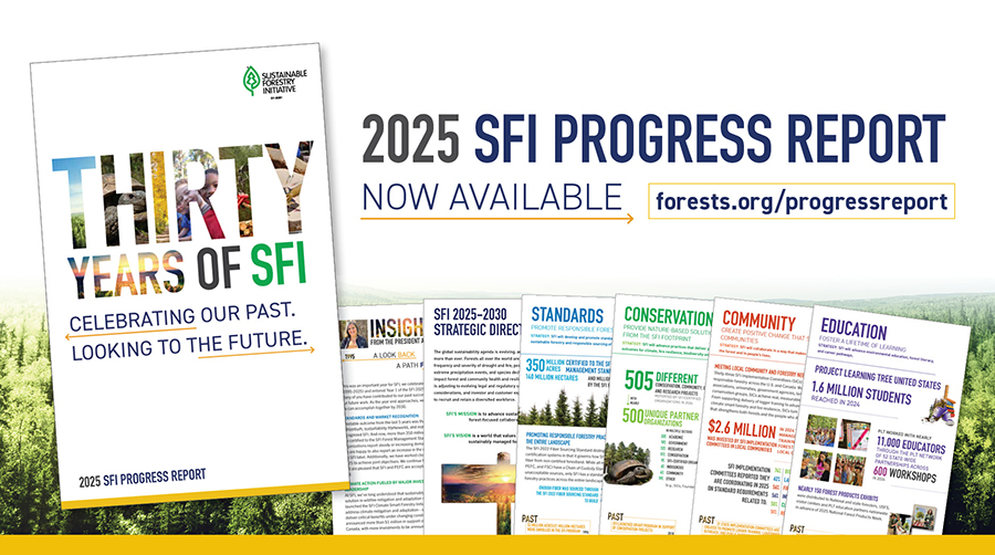 2025 SFI Progress Report