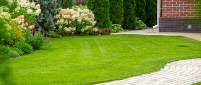lush-garden-lawn-house