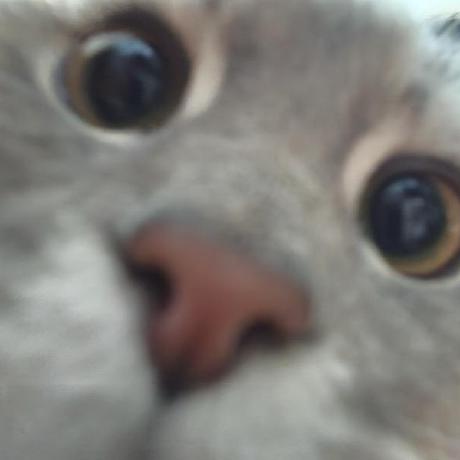 hhh2210