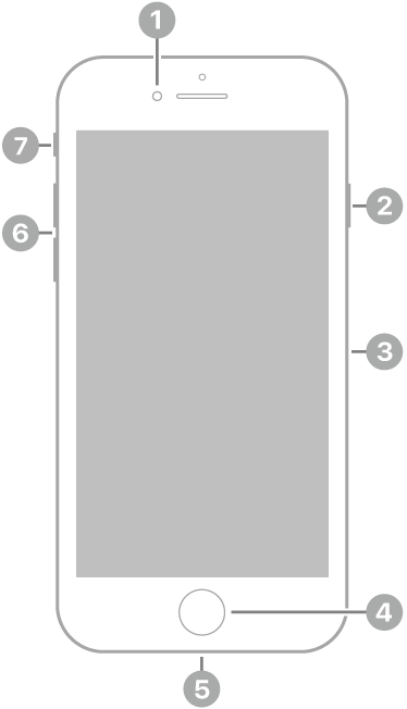 عرض للجزء الأمامي من الـ iPhone SE (الجيل الثاني). توجد الكاميرا الأمامية في الجزء العلوي، على يسار السماعة. على الجانب الأيمن، من الأعلى إلى الأسفل، يوجد الزر الجانبي وحامل بطاقة SIM. ويوجد زر الشاشة الرئيسية في أسفل المنتصف. يوجد موصل لايتننغ على الحافة السفلية. على الجانب الأيمن، من الأسفل إلى الأعلى، يظهر زرا مستوى الصوت ومفتاح رنين/صامت.