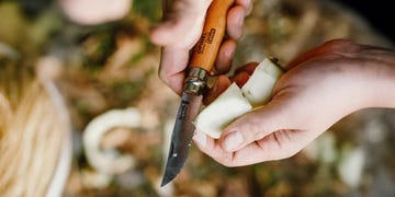 hands holding a knife and a piece of fruit hands holding a knife and a piece of fruit