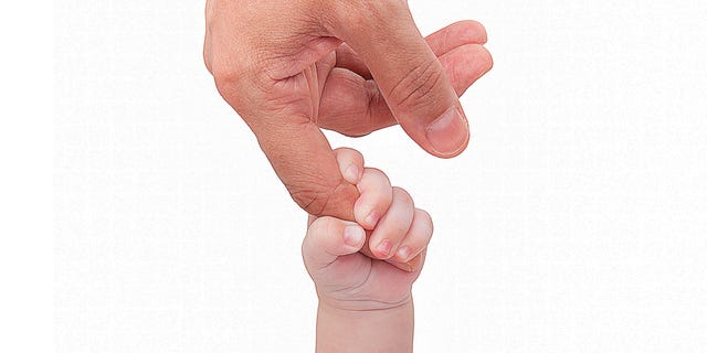 An adult hand gently holding a small child's hand, symbolizing connection and care. An adult hand gently holding a small child's hand, symbolizing connection and care.