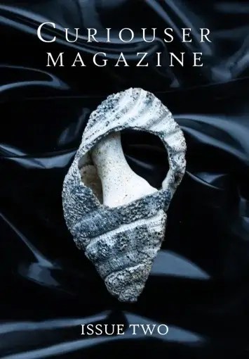 Curiouser Magazine Issue #2