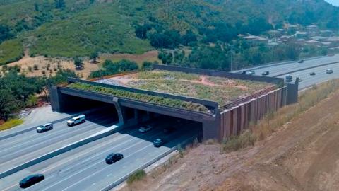 Still picture from May 2026 drone footage of the Wallis Annenberg Wildlife Crossing under construction