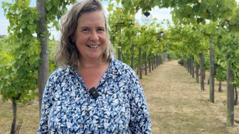 A woman with grey hair in a blue top looks straight ahead at camera in her vineyard.