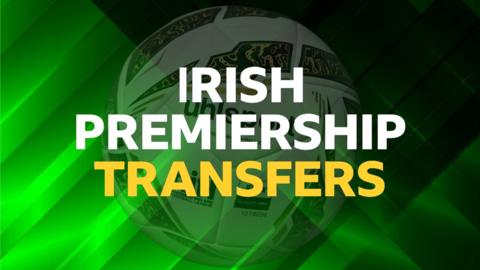 Irish Premiership transfers