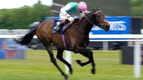 Kalpana in action during the 2026 King George at Ascot