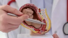 During pregnancy, the baby receives not only oxygen from the mother through the placenta, but also all essential vitamins, proteins, and nutrients, which are delivered to the baby via the placenta.