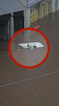 مار