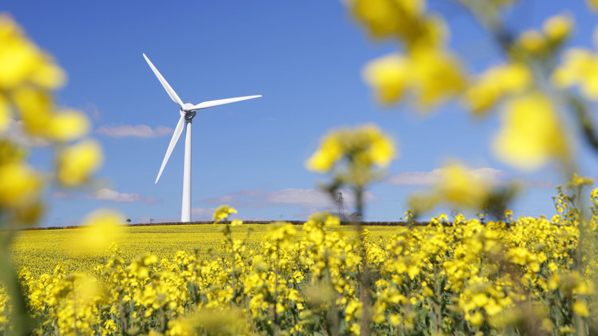 ESG-Env_sus Environmental Sustainability: Windmill in field