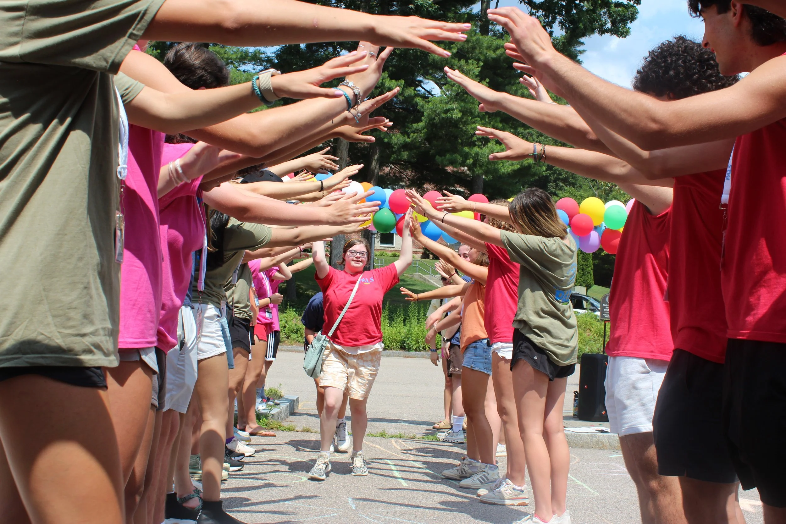 Breaking Barriers: Making PALS Accessible to All